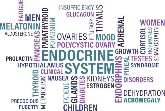 sistema-endocrino-IP | ABC24 Noticias