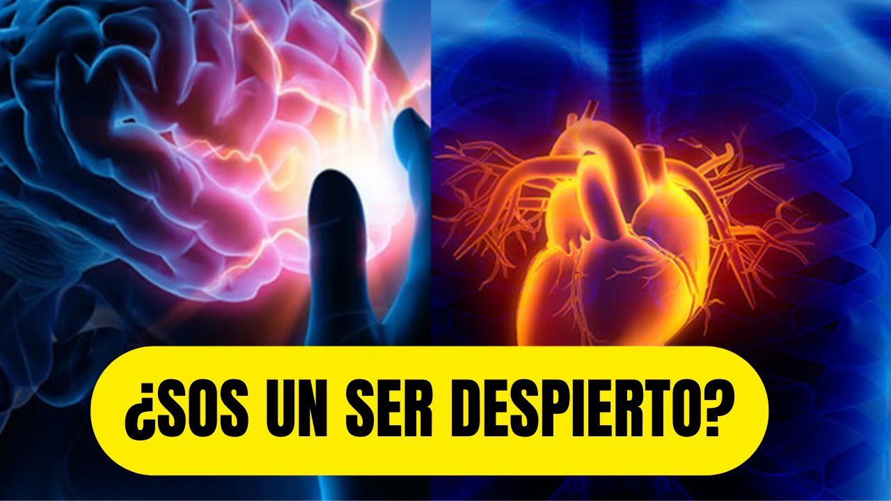Conecta-con-tu-intuicion-Desarrolla-tu-sabiduria-interna | ABC24 Noticias
