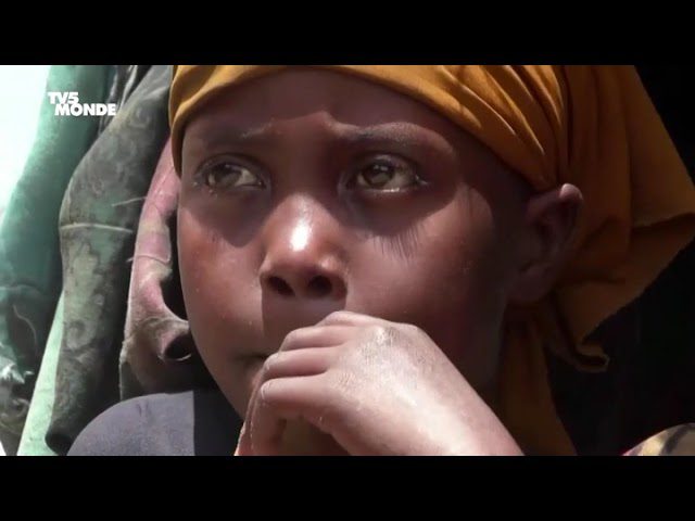 opositar-en-Somalia | ABC24 Noticias opositar en Somalia