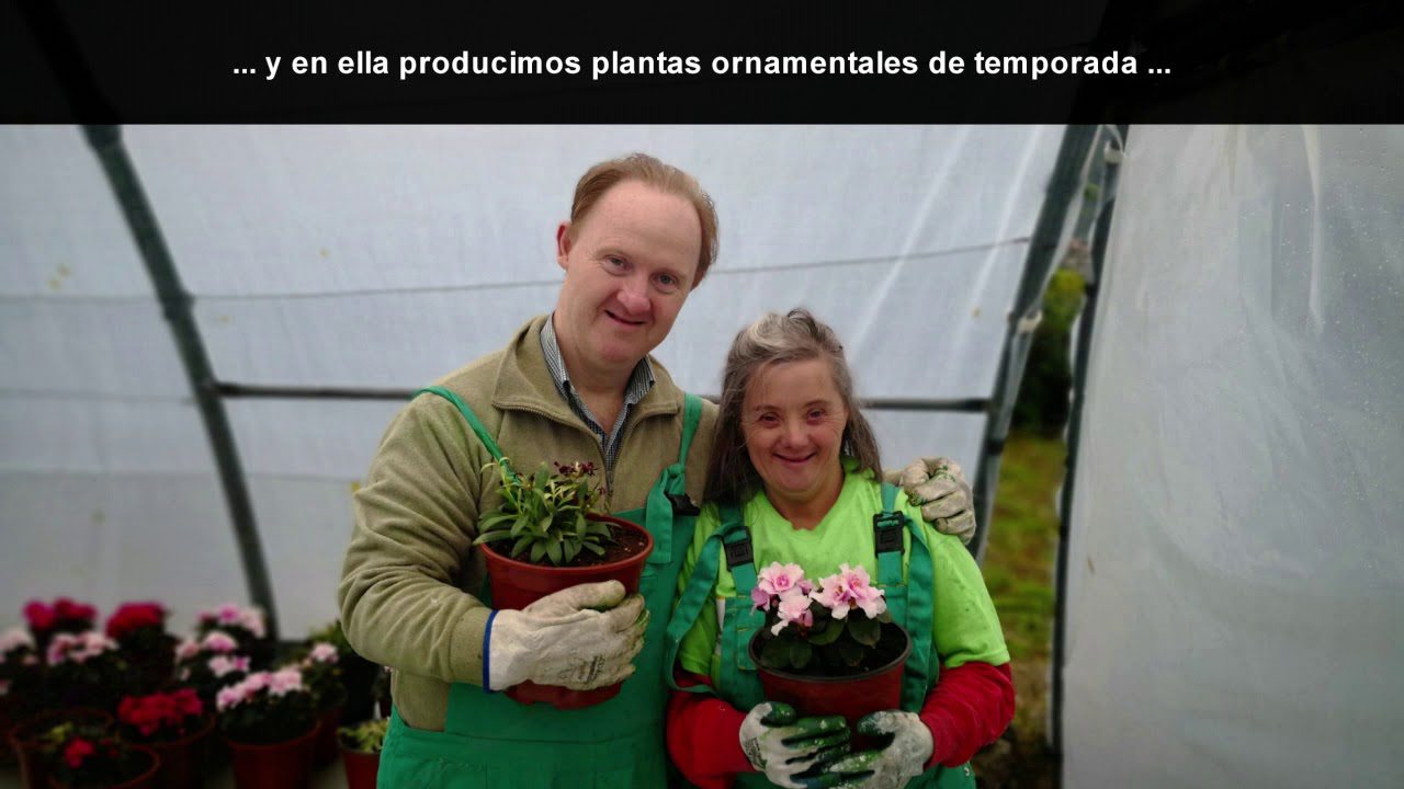 Empleo-Publico-en-San-Esteban-del-Valle | ABC24 Noticias Empleo Público en San Esteban del Valle
