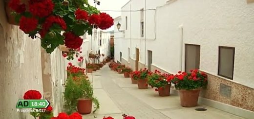 Mejores restaurantes en 	Lucainena de las Torres