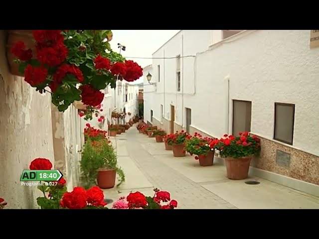 Mejores-restaurantes-en-Lucainena-de-las-Torres | ABC24 Noticias Mejores restaurantes en Lucainena de las Torres