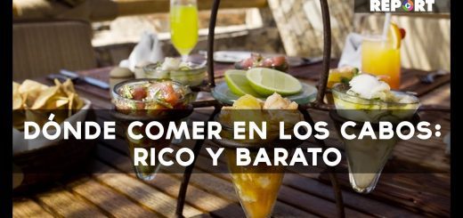 Mejores restaurantes en 	Lúcar