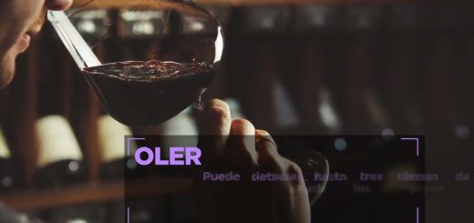 Bares que ofrecen catas de vino y maridajes