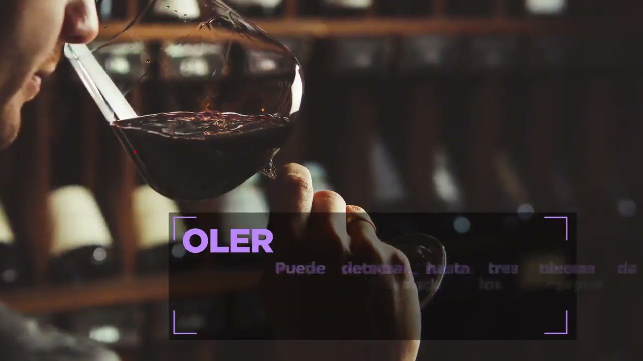 Bares-que-ofrecen-catas-de-vino-y-maridajes | ABC24 Noticias Bares que ofrecen catas de vino y maridajes