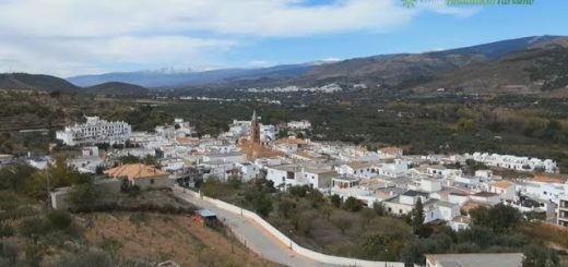 Mejores restaurantes en 	Padules
