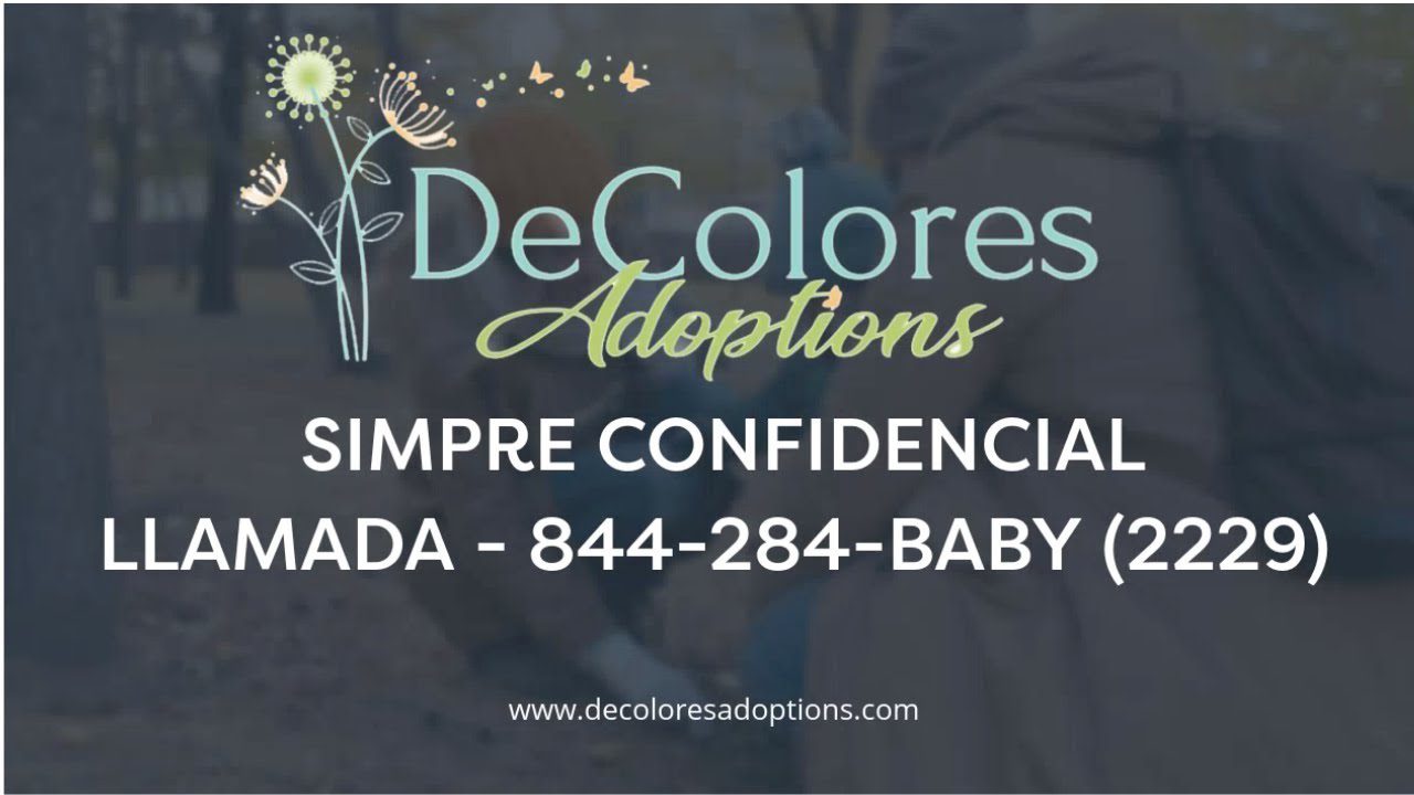 Adopcion-y-embarazo-Navegando-las-opciones-para-futuros-padres | ABC24 Noticias Adopción y embarazo: Navegando las opciones para futuros padres