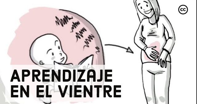 Cuidado prenatal para futuros padres: Preparándose juntos para la llegada del bebé