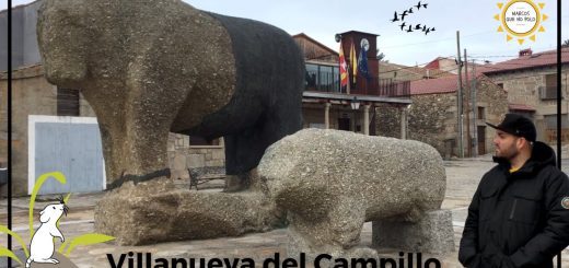 Empleo Público en 	Villanueva del Campillo