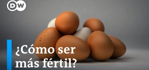 Fertilidad y nutrición: Alimentos que favorecen la concepción