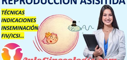 Afrontando la posibilidad de tratamientos de reproducción asistida: Consejos para parejas