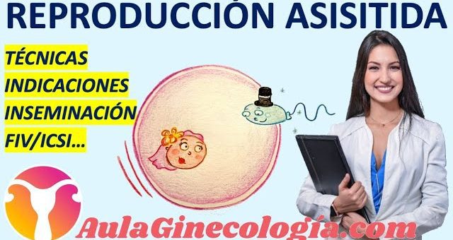 Afrontando la posibilidad de tratamientos de reproducción asistida: Consejos para parejas