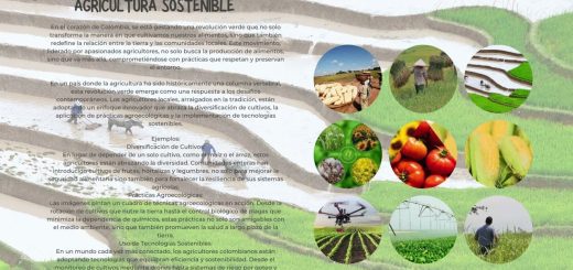 La Revolución Verde: Transformación Agrícola y Desarrollo Sostenible