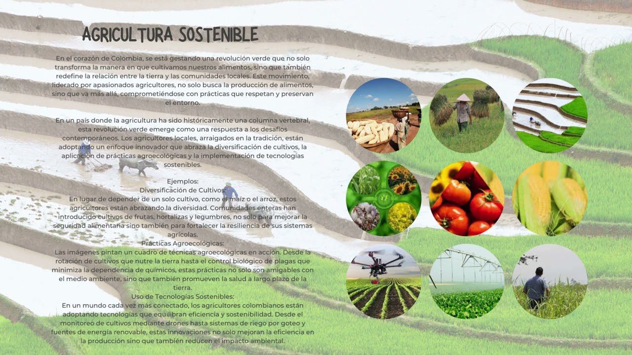 La-Revolucion-Verde-Transformacion-Agricola-y-Desarrollo-Sostenible | ABC24 Noticias La Revolución Verde: Transformación Agrícola y Desarrollo Sostenible