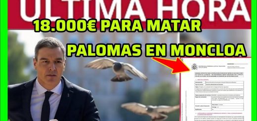 Empleo Público en 	Palomas