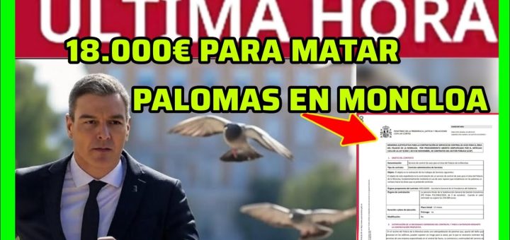 Empleo Público en 	Palomas