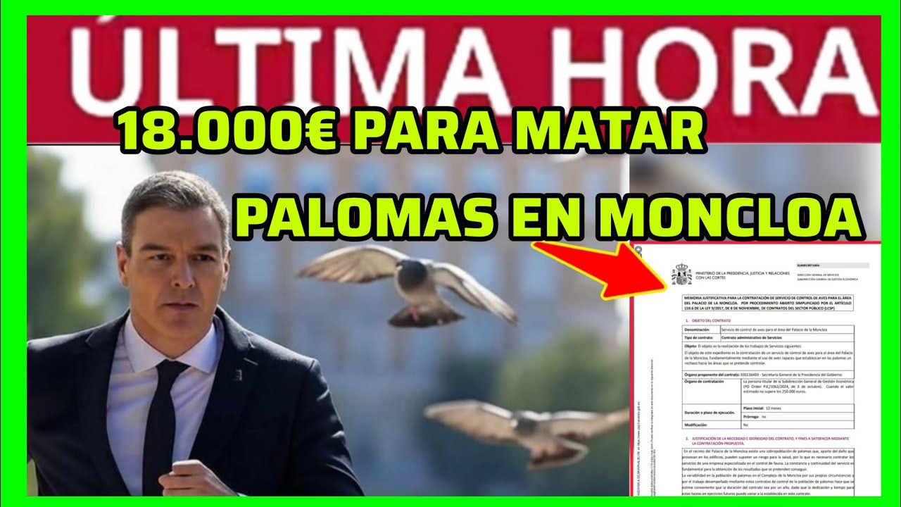 Empleo-Publico-en-Palomas | ABC24 Noticias Empleo Público en Palomas