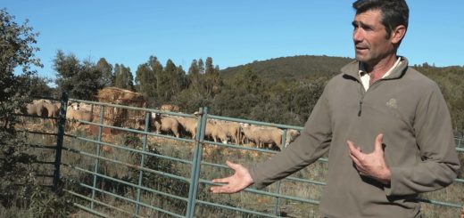 Empleo Público en 	Retamal de Llerena