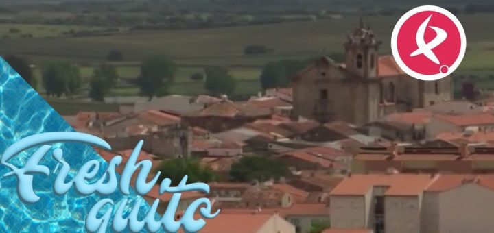 Empleo Público en 	San Vicente de Alcántara