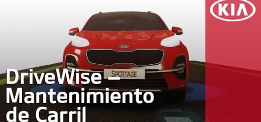 Errores en el Sistema de Asistencia de Carril: Desafíos en el Mantenimiento de Carril
