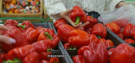 La Revolución Verde: Transformación Agrícola y Desarrollo Sostenible