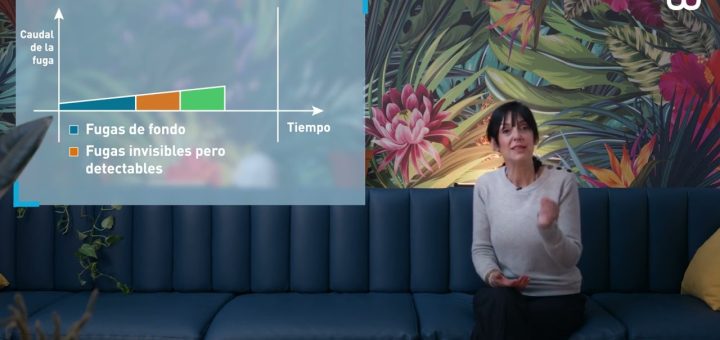 Problemas de Fugas de Agua: Desafíos de Sellado y Estanqueidad