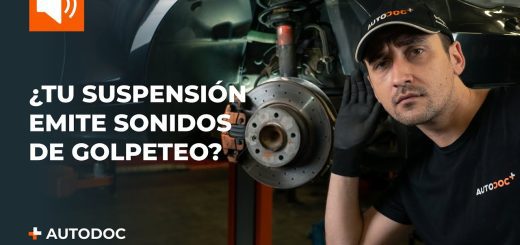 Problemas de Desgaste de Amortiguadores: Evaluación de Componentes de Suspensión