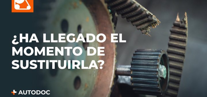 Problemas de Desgaste de la Correa de Distribución: Evaluación de Componentes del Motor