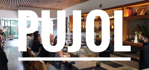 Mejores restaurantes en 	Narros de Saldueña