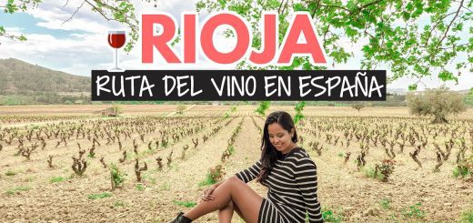 qué necesitas para una escapada a Rutas del vino en España
