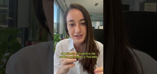 ventajas y desventajas de La Prohibición y el auge del crimen organizado